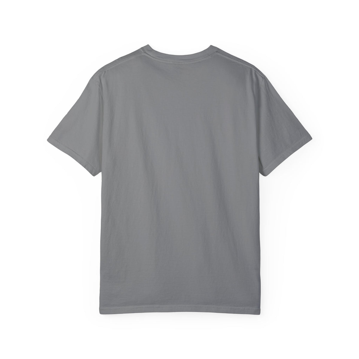 Vintage 1970s EPA logo graphic t-shirt