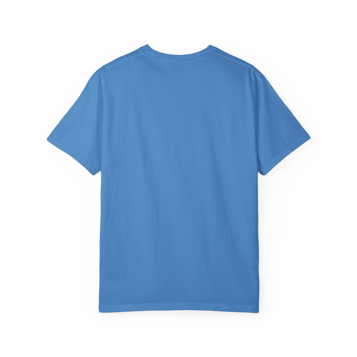 Vintage 1970s EPA logo graphic t-shirt