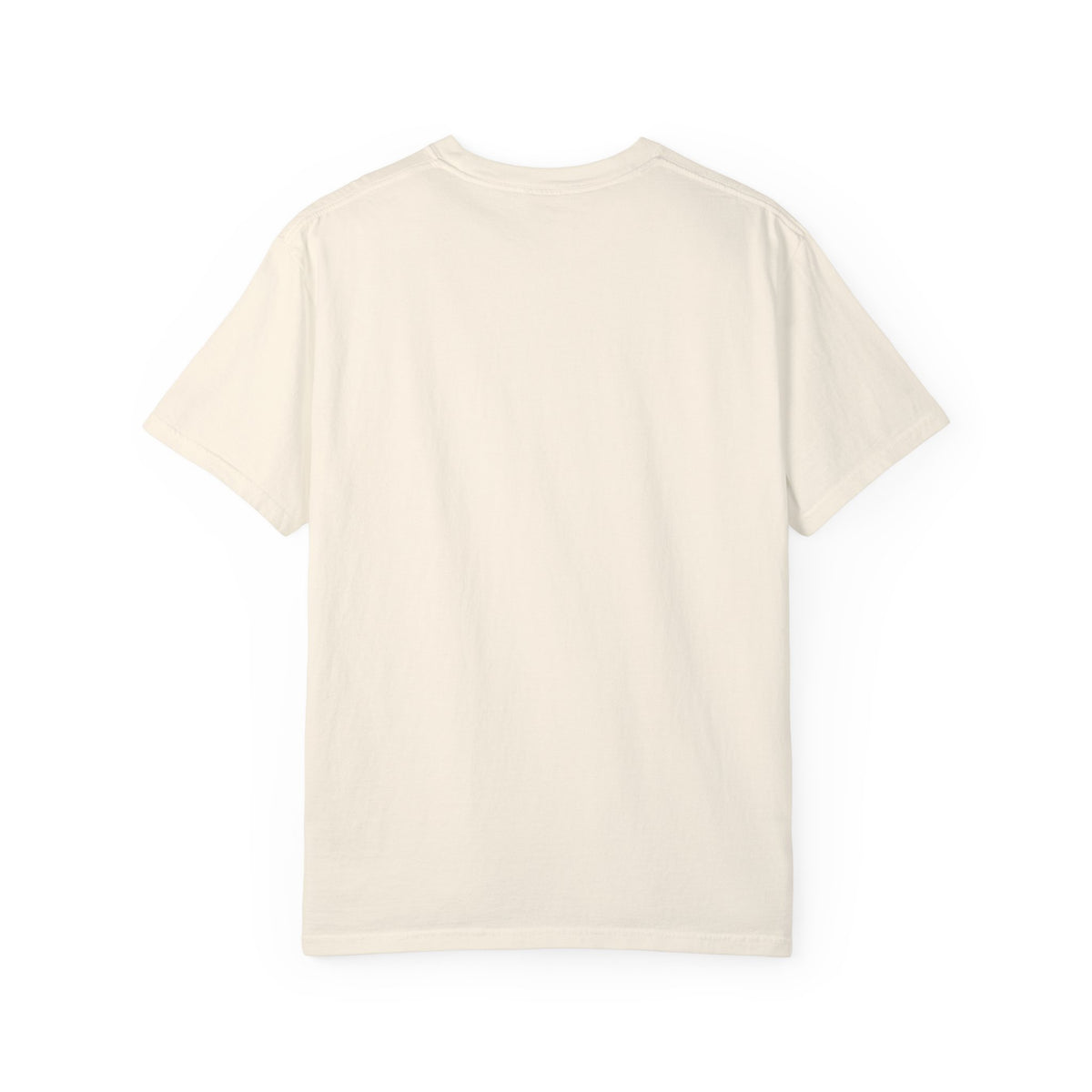 Vintage 1970s EPA logo graphic t-shirt