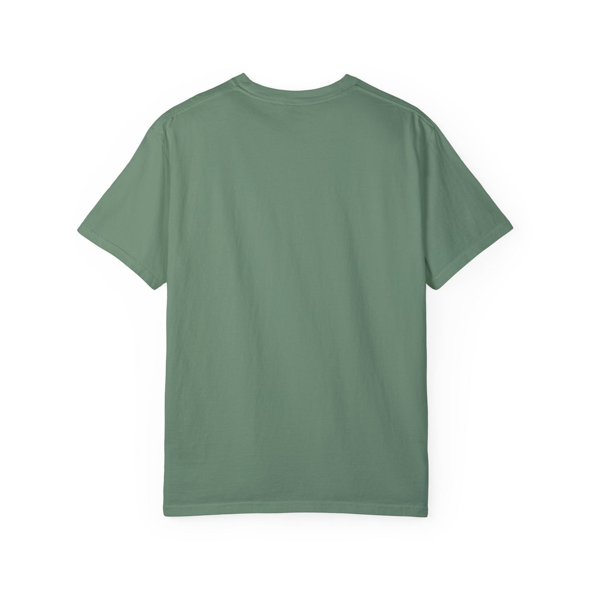 Vintage 1970s EPA logo graphic t-shirt