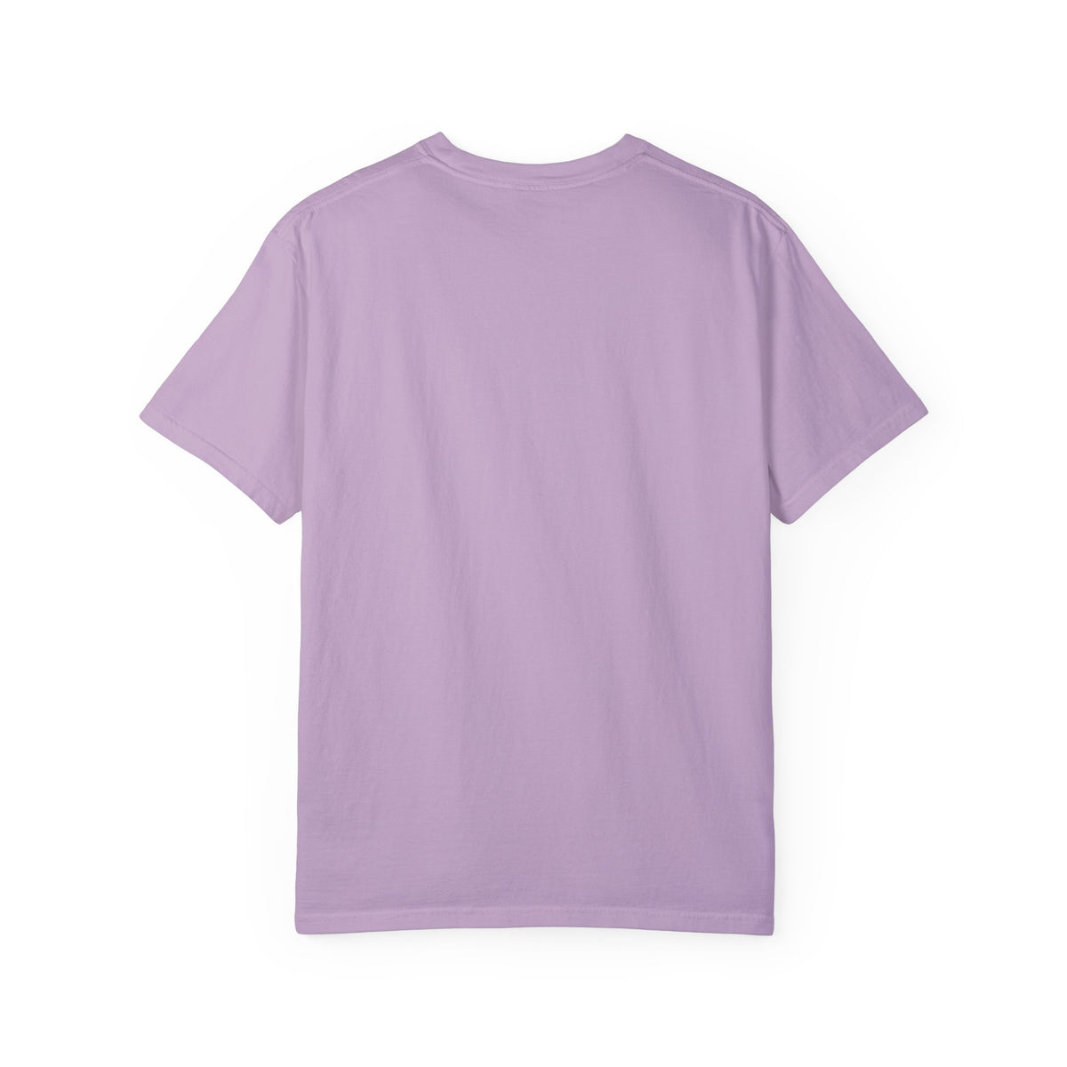 Vintage 1970s EPA logo graphic t-shirt