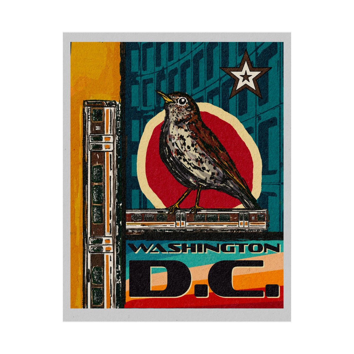 70s style Washington DC Metro Bird Club transit poster