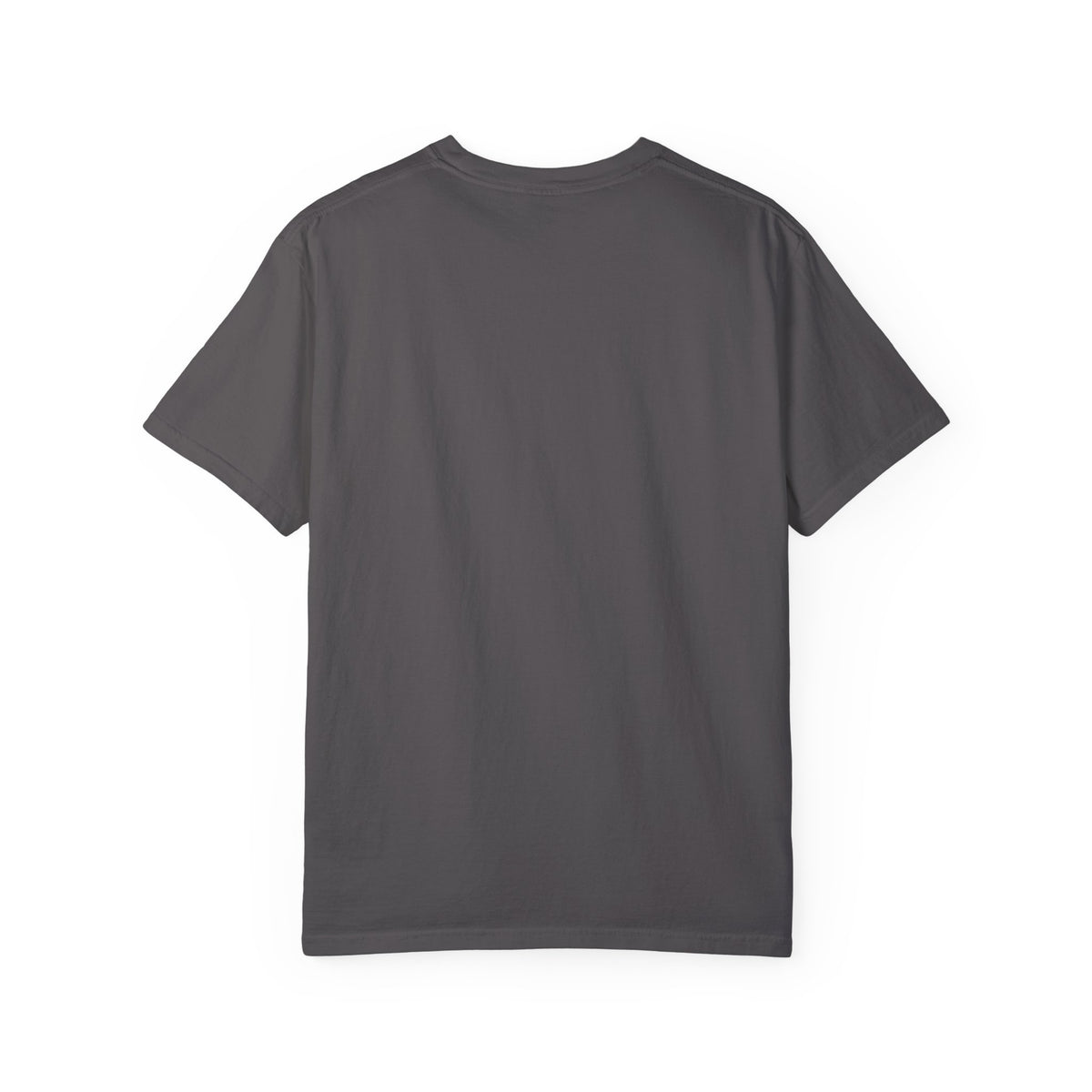 Vintage 1970s EPA logo graphic t-shirt