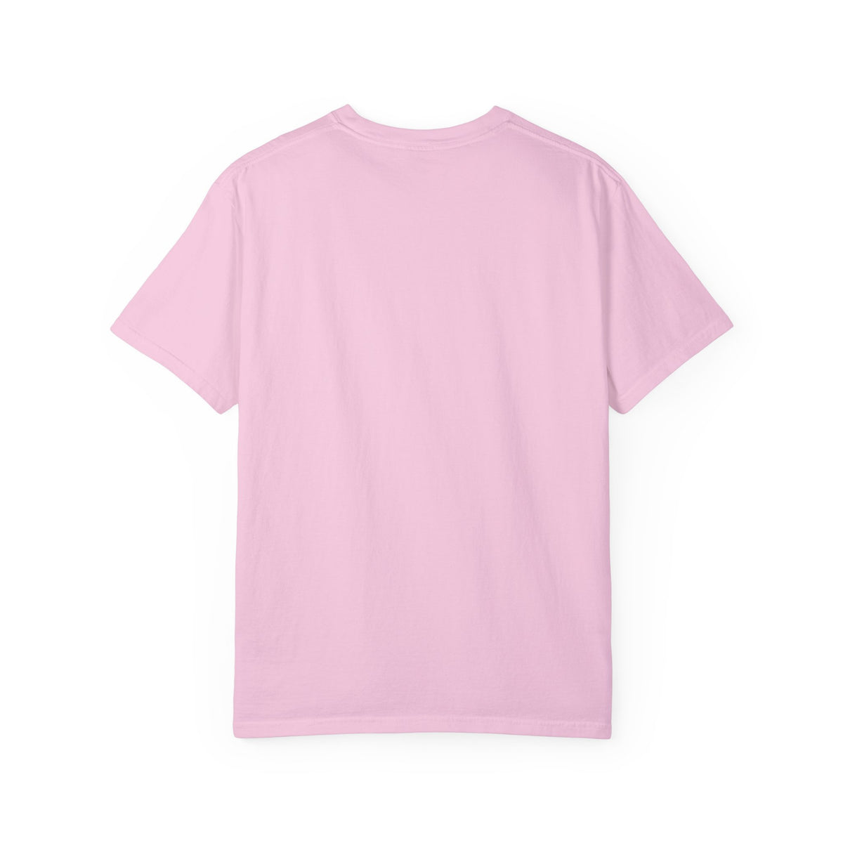 Vintage 1970s EPA logo graphic t-shirt
