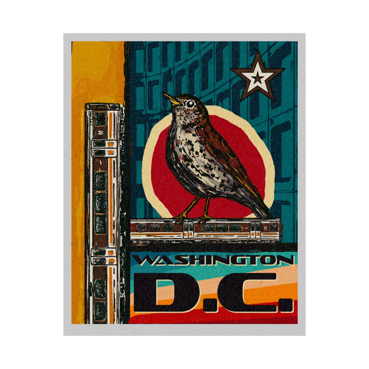 70s style Washington DC Metro Bird Club transit poster