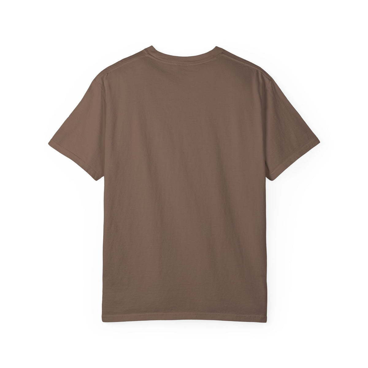 Vintage 1970s EPA logo graphic t-shirt