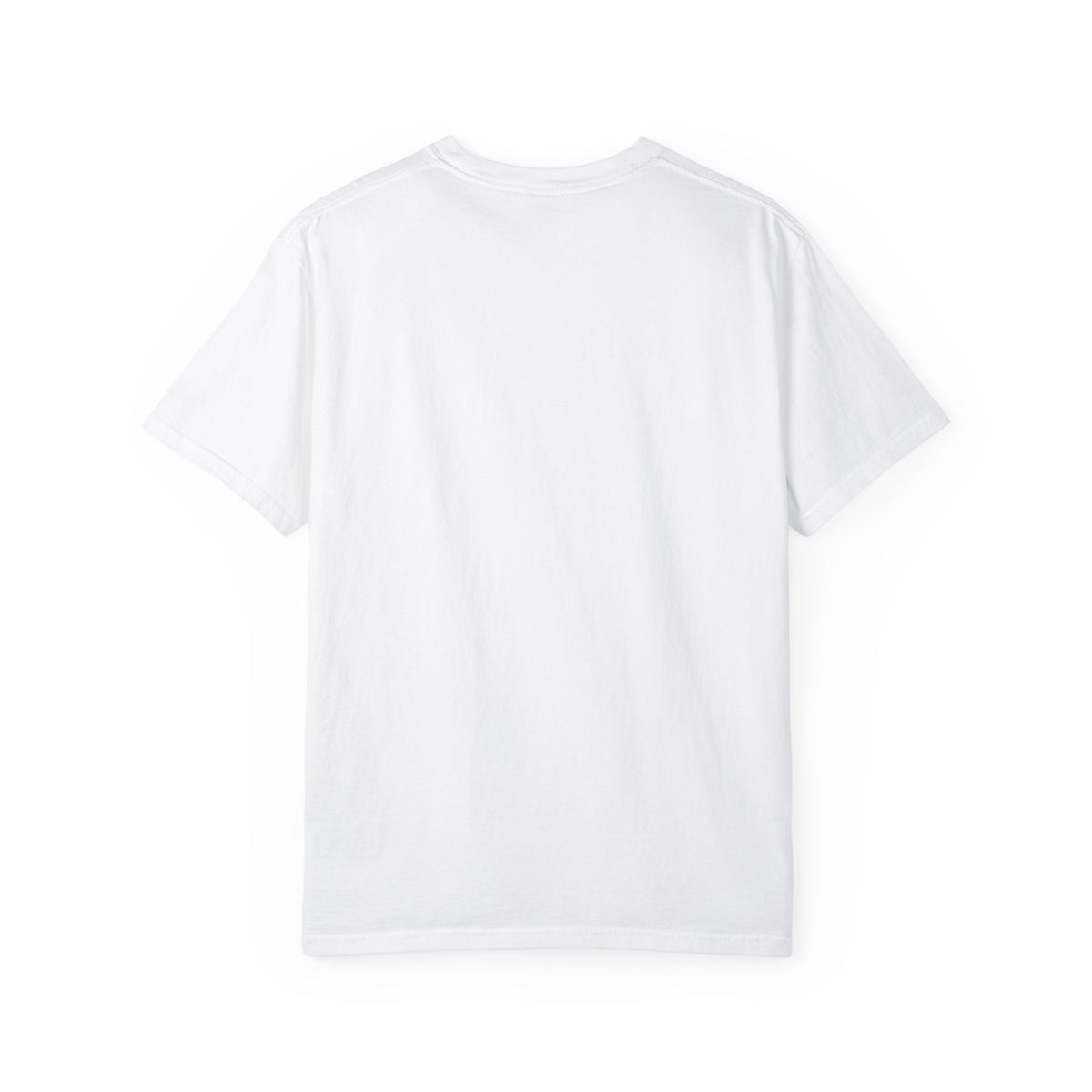 Vintage 1970s EPA logo graphic t-shirt